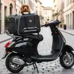 Transporter son chien en scooter : ce qu'il faut savoir 3 cocker dans un sac de transport sur scooter
